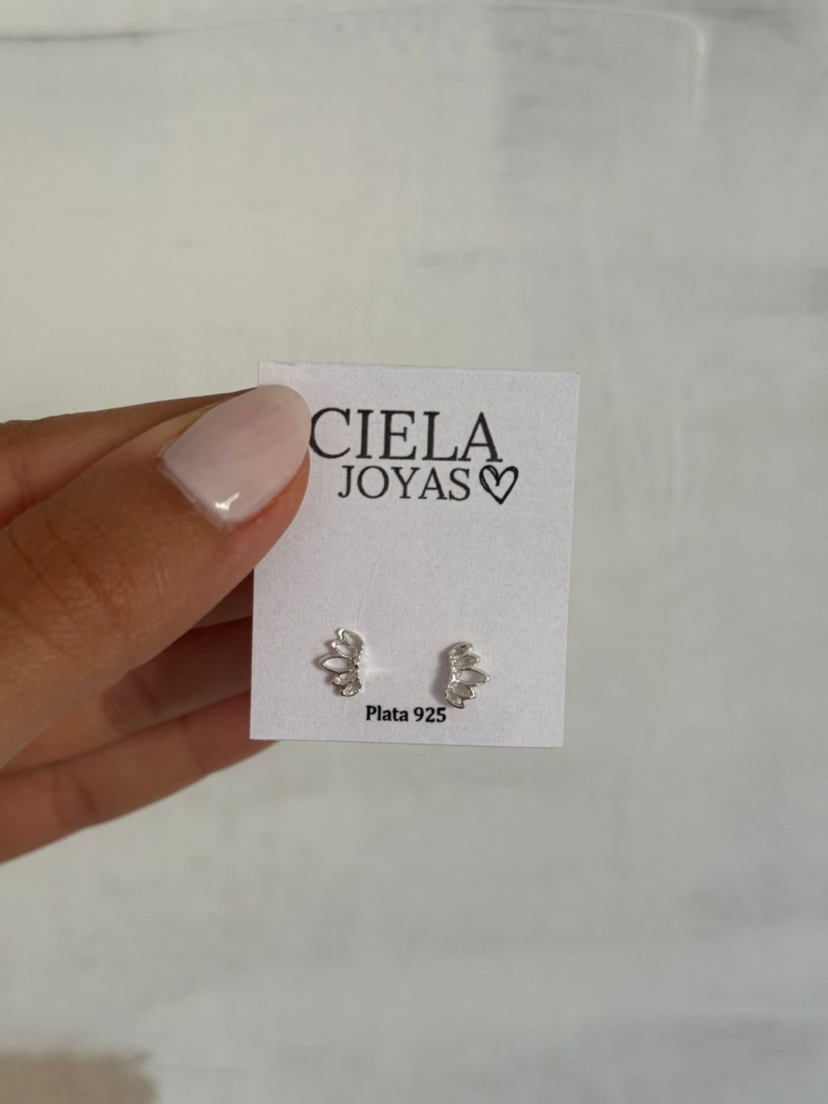 WhatsApp Image 2026-02-16 at 11.34.47