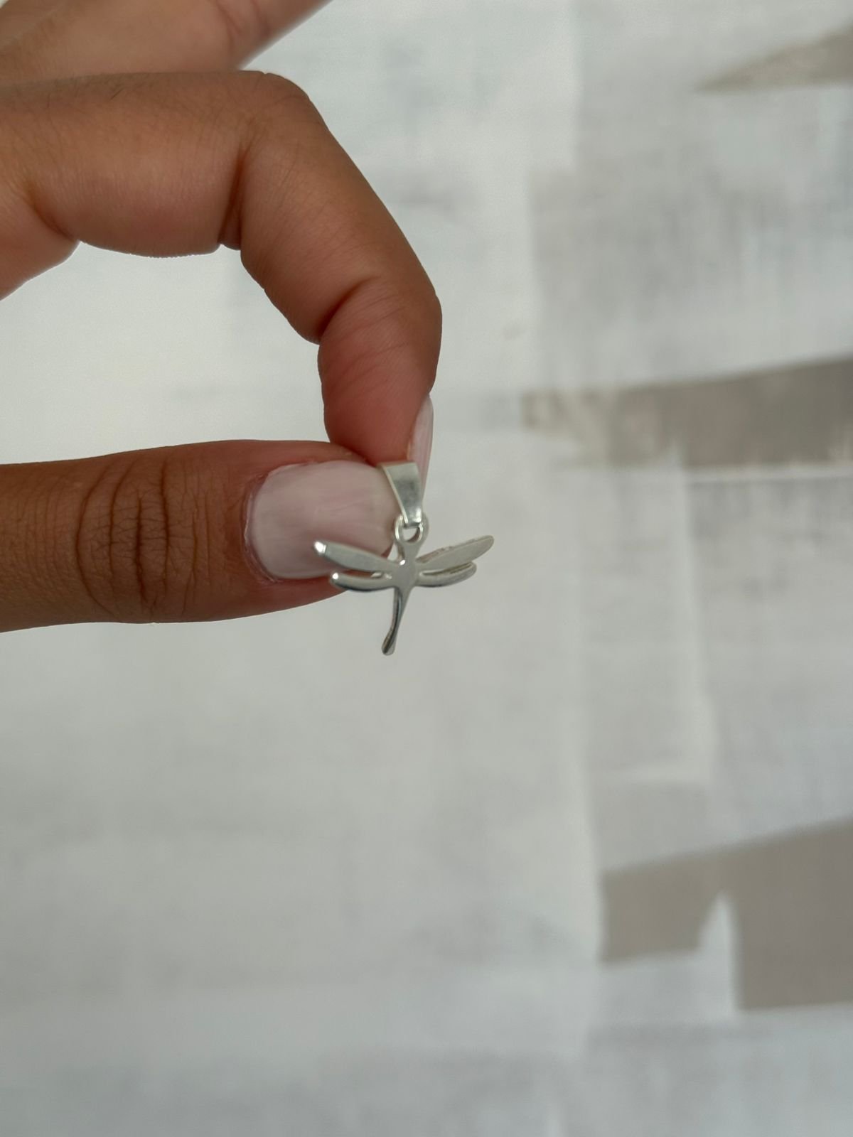 WhatsApp Image 2026-02-16 at 21.01.47 (1)