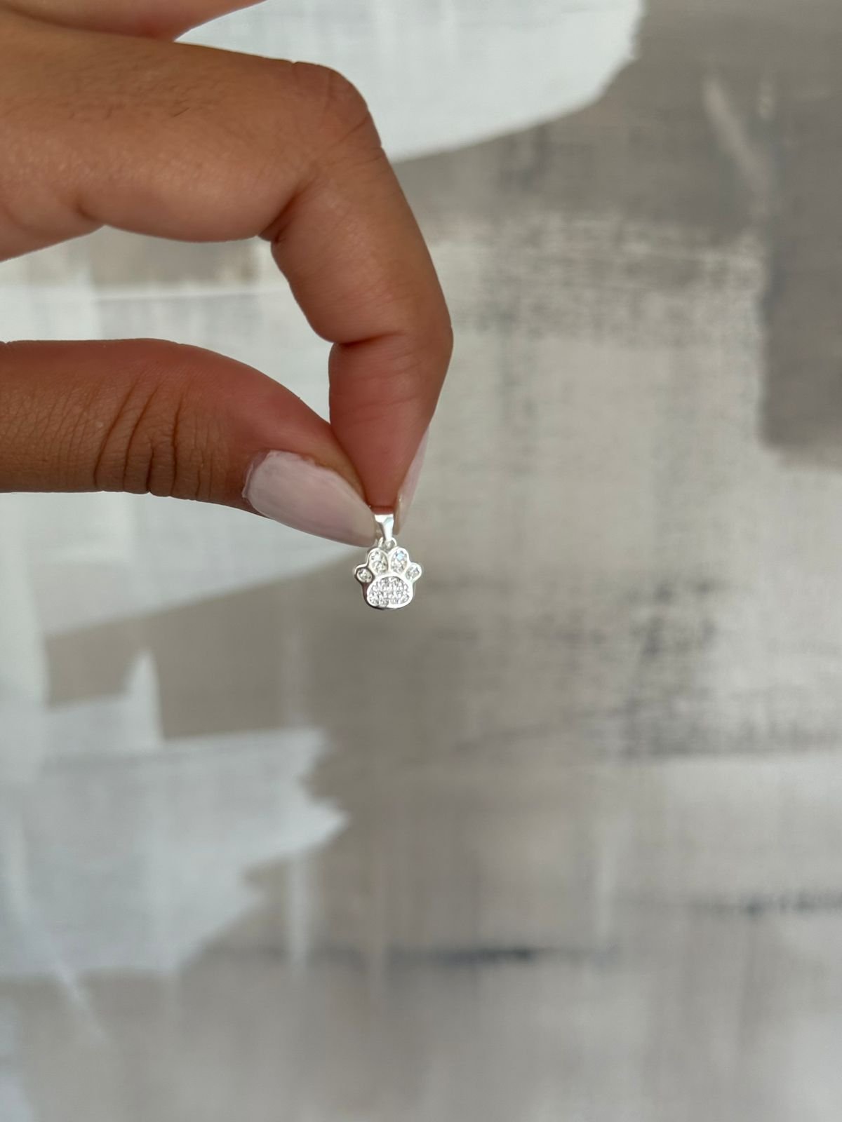 WhatsApp Image 2026-02-16 at 21.01.48