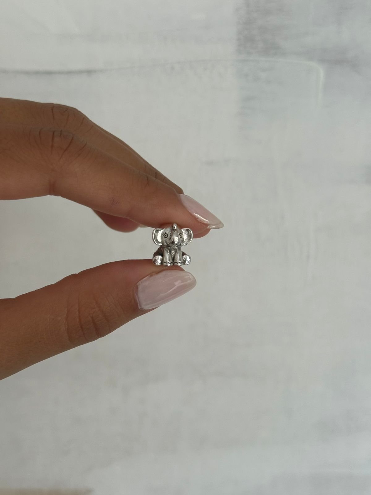 WhatsApp Image 2026-02-16 at 23.17.51 (2)