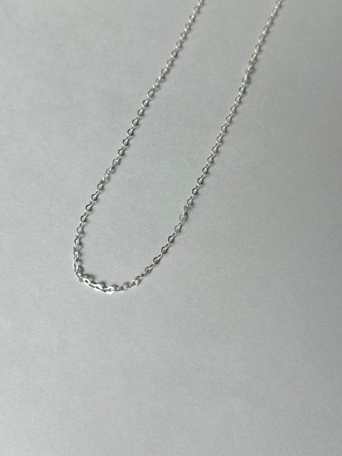 WhatsApp Image 2026-02-17 at 16.58.17