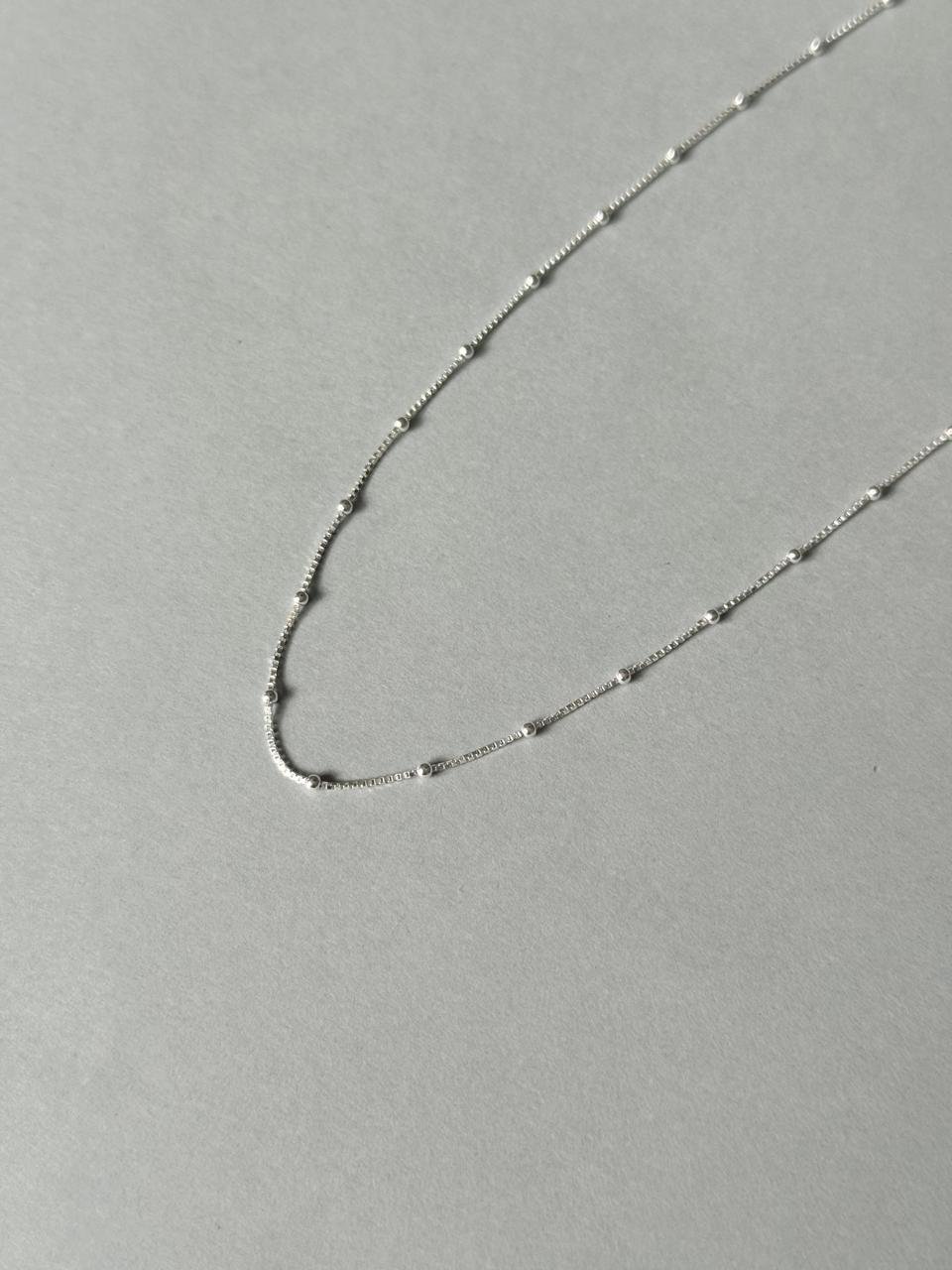 WhatsApp Image 2026-02-17 at 17.47.39