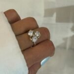 Anillo Indu